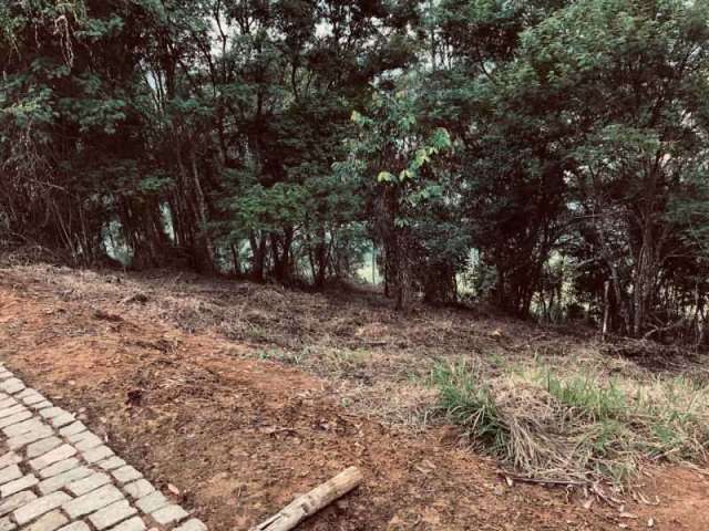 Terreno em condomínio fechado à venda na Rua Prefeito Luiz Penna, Novo Horizonte, Juiz de Fora, 2500 m2 por R$ 180.000