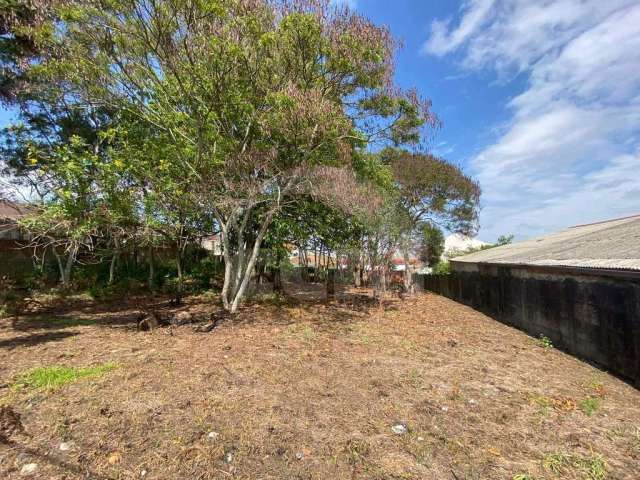 Lote/Terreno para aluguel, Jardim Carvalho - Ponta Grossa/PR