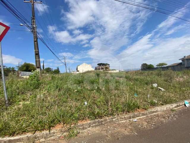 Lote/Terreno para aluguel, Jardim Carvalho - Ponta Grossa/PR