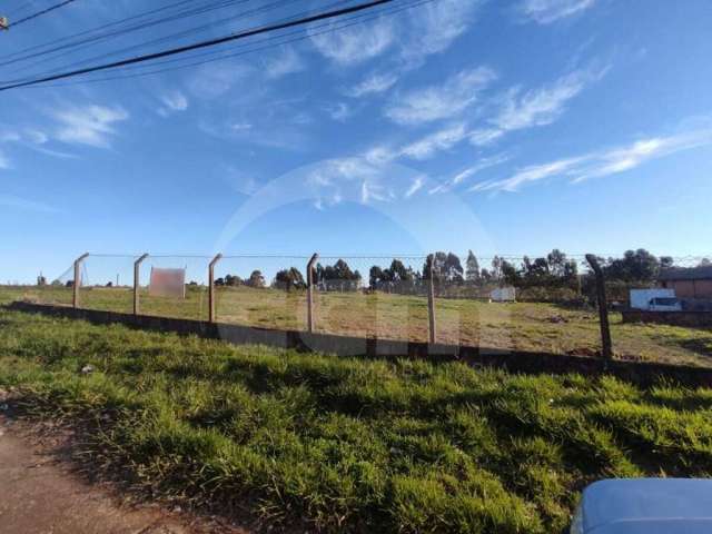 Lote/Terreno para aluguel, Neves - Ponta Grossa/PR