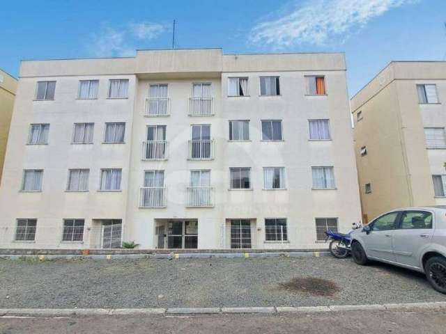 Apartamento à venda, 3 quartos, 1 vaga, Orfãs - Ponta Grossa/PR