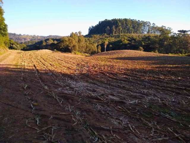 Amplo lote à venda em Forqueta Caxias do Sul