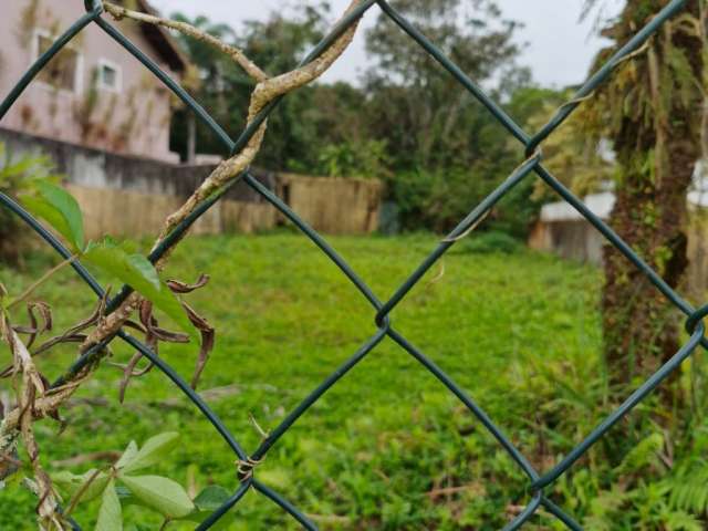 Terreno desmatado em Riviera de São Lourenço