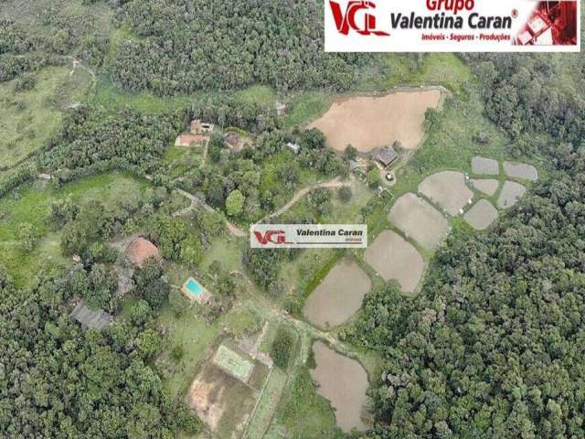 Sítio com 4 dormitórios à venda, 98000 m² por R$ 6.300.000,00 - Parque da Grama - Indaiatuba/SP