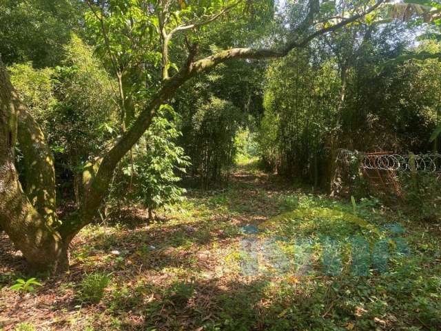 Chácara em Barão Geraldo, 2 dorm., 2 wcs, piscina, churrasqueira e muita área verde