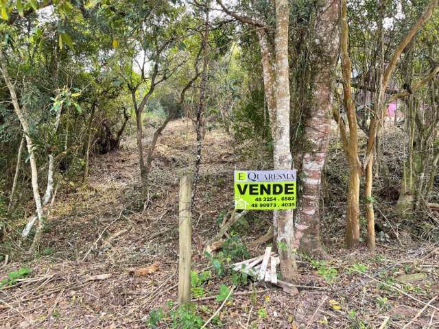 Terreno no meio da natureza