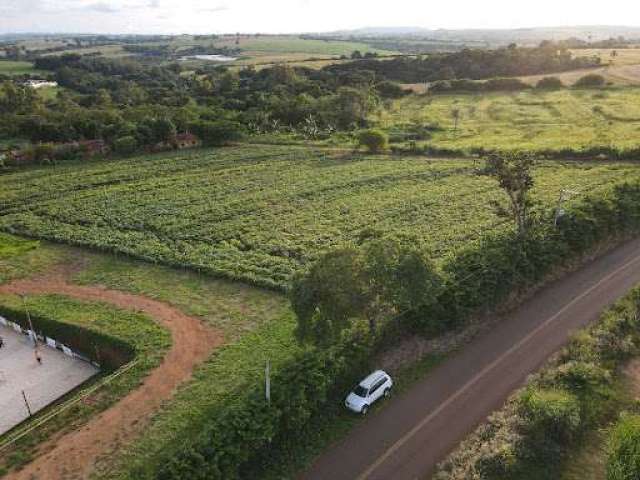 Terreno à venda, 5000 m² por R$ 295.000.000,00 - Bairro Roque - Pirassununga/SP