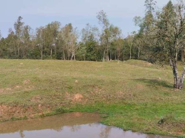 Chácara em Linha Nova com 1,5 hectares