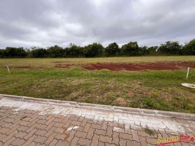 Terreno no Parque das Palmeiras