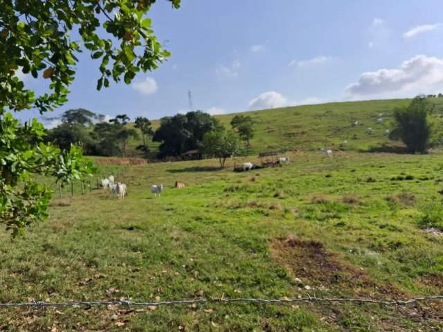 Excelente Fazenda de 26hc porteira fechada frente a pista.