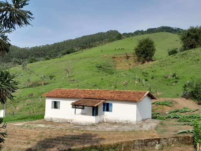 Excelente fazenda à venda em Cruzeiro - SP