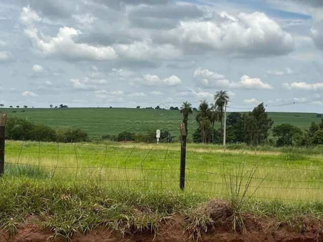 Terreno Padrão em São José do Rio Preto