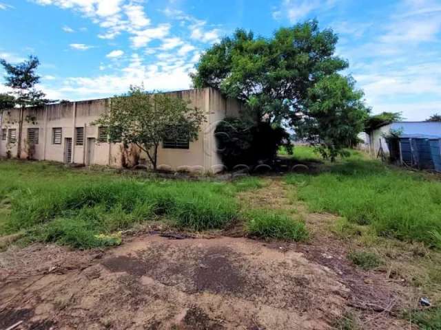 Comercial Barracão em São José do Rio Preto