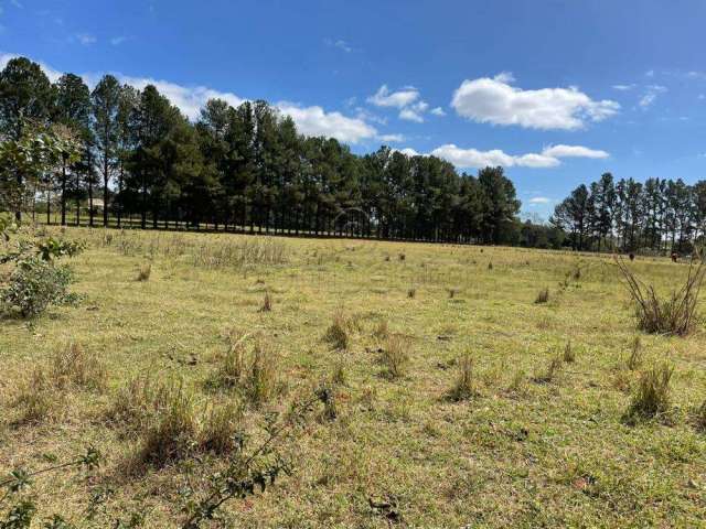 Terreno Área em São José do Rio Preto