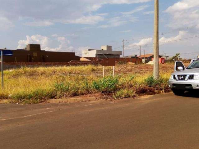 Terreno Padrão em Bady Bassitt