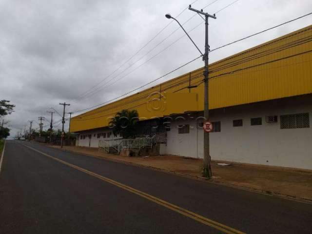 Comercial Barracão em São José do Rio Preto