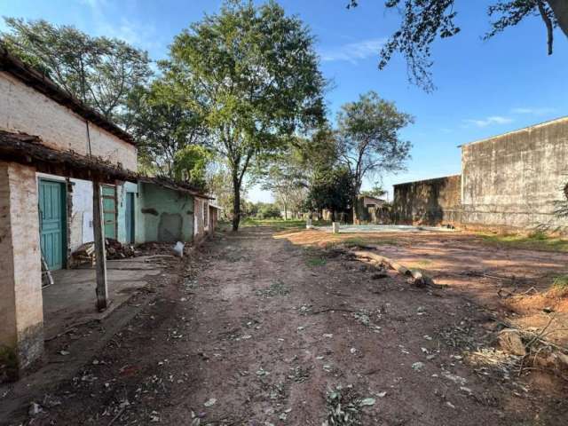 Rural Chácara em São José do Rio Preto