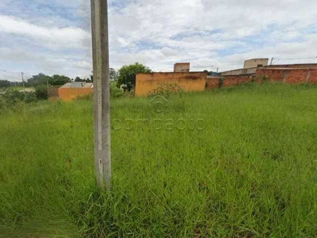 Terreno Padrão em São José do Rio Preto