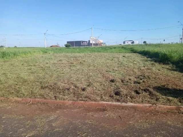 Terreno Padrão em São José do Rio Preto