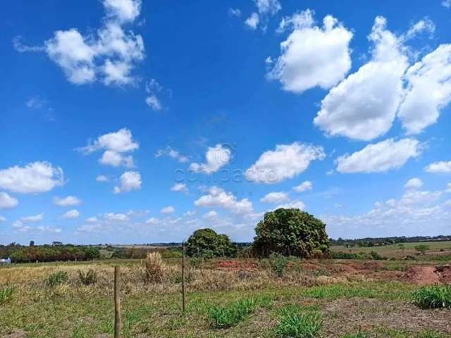 Terreno Padrão em Cedral