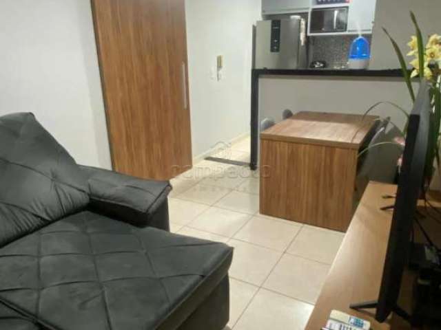 Apartamento Padrão em São José do Rio Preto