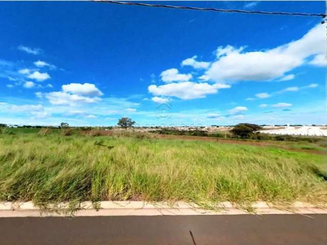 Terreno Padrão em São José do Rio Preto