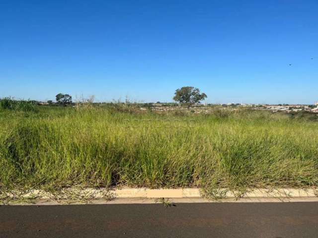 Terreno Padrão em São José do Rio Preto