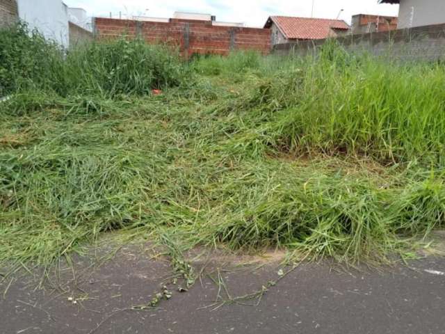 Terreno Padrão em São José do Rio Preto