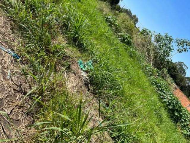 Terreno Padrão em Bady Bassitt