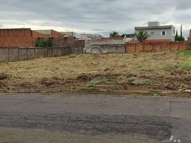 Terreno Padrão em São José do Rio Preto