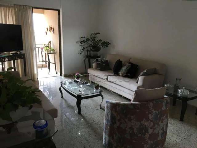 Apartamento Padrão em São José do Rio Preto