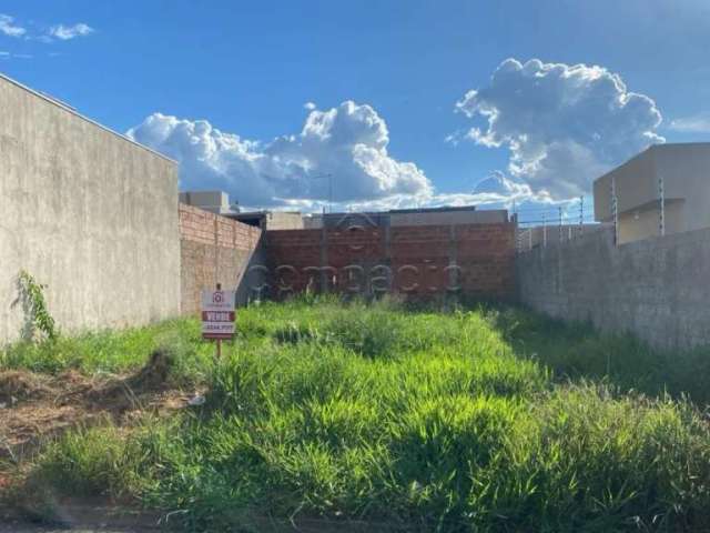 Terreno Padrão em São José do Rio Preto