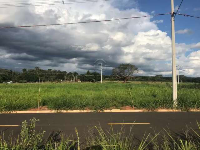 Terreno Padrão em Bady Bassitt