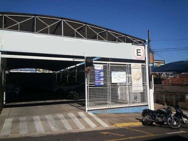 Comercial Barracão em São José do Rio Preto