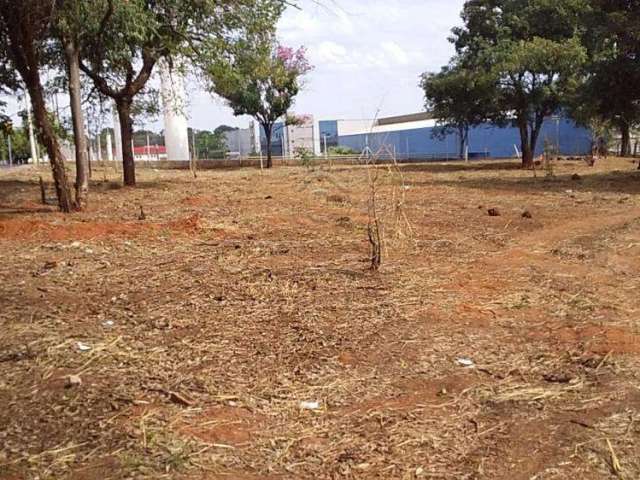 Terreno Padrão em São José do Rio Preto