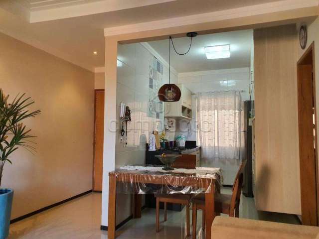 Apartamento Padrão em São José do Rio Preto