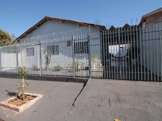 Casa Padrão em São José do Rio Preto