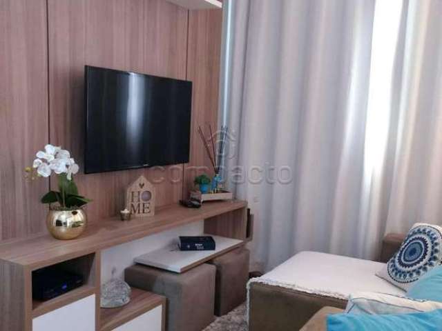 Apartamento Padrão em São José do Rio Preto