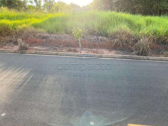 Terreno Padrão em São José do Rio Preto