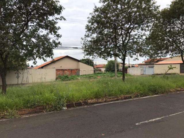 Terreno Padrão em São José do Rio Preto