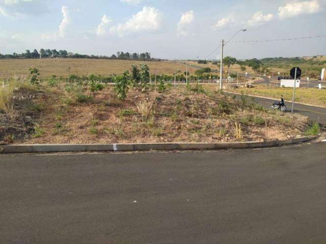 Terreno Padrão em São José do Rio Preto