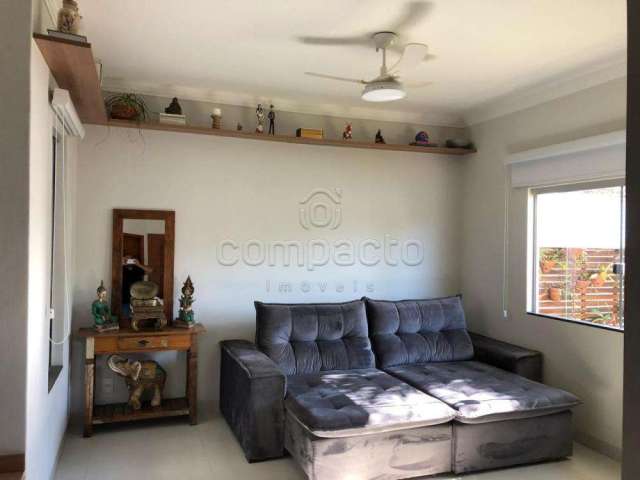 Comercial Casa em São José do Rio Preto