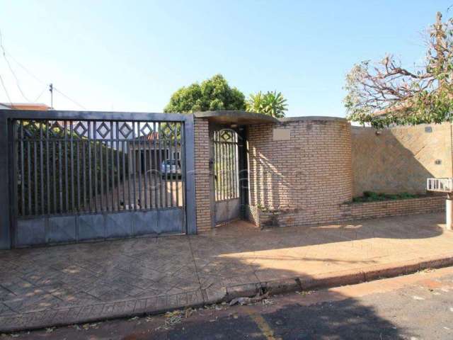 Casa Padrão em São José do Rio Preto