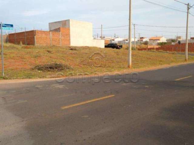 Terreno Padrão em São José do Rio Preto