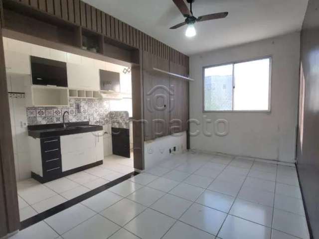 Apartamento Padrão em São José do Rio Preto