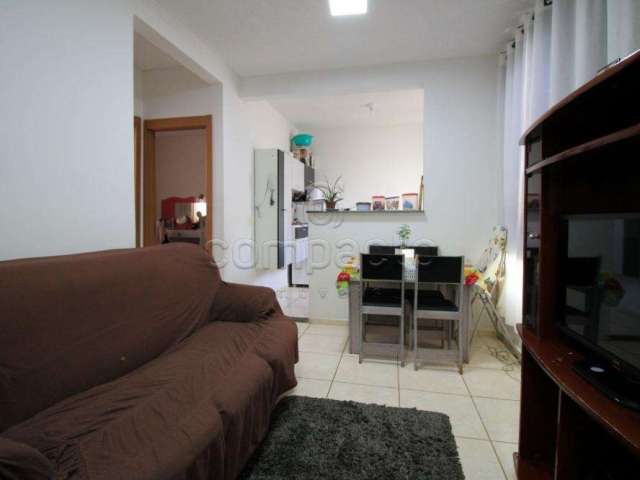 Apartamento Padrão em São José do Rio Preto