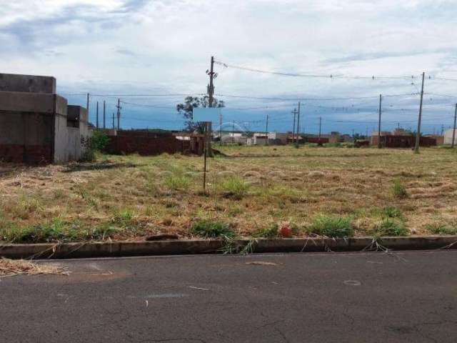 Terreno Padrão em Bady Bassitt