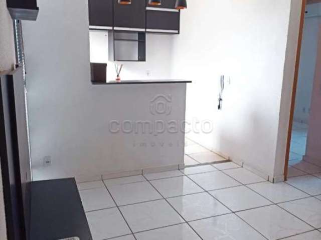 Apartamento Padrão em São José do Rio Preto