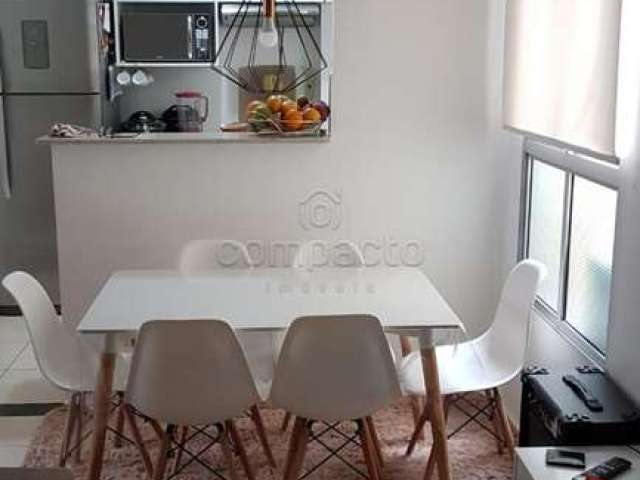 Apartamento Padrão em São José do Rio Preto