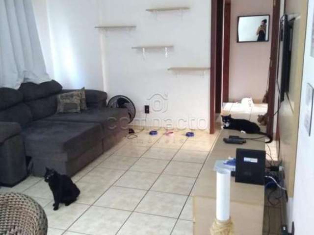 Apartamento Padrão em São José do Rio Preto